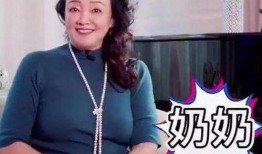 汪小菲妈妈最新爆料视频,揭秘豪门背后的惊人真相